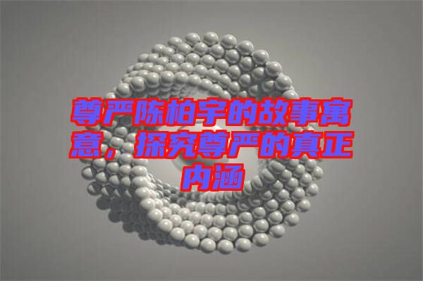 尊嚴(yán)陳柏宇的故事寓意，探究尊嚴(yán)的真正內(nèi)涵