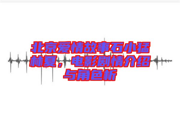 北京愛(ài)情故事石小猛林夏，電影劇情介紹與角色析