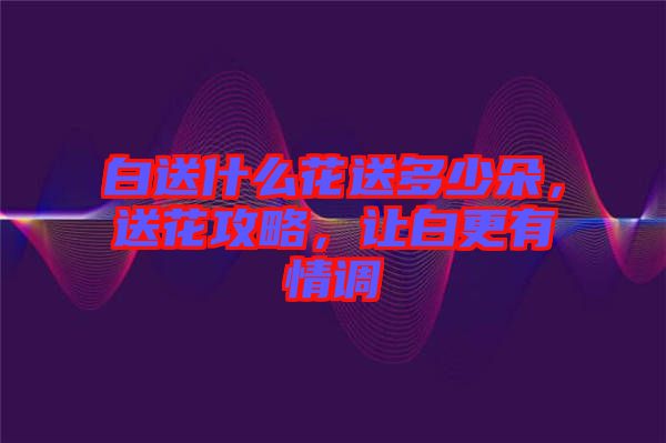 白送什么花送多少朵，送花攻略，讓白更有情調(diào)