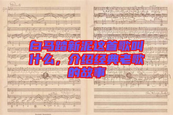 白馬踏新泥這首歌叫什么，介紹經(jīng)典老歌的故事