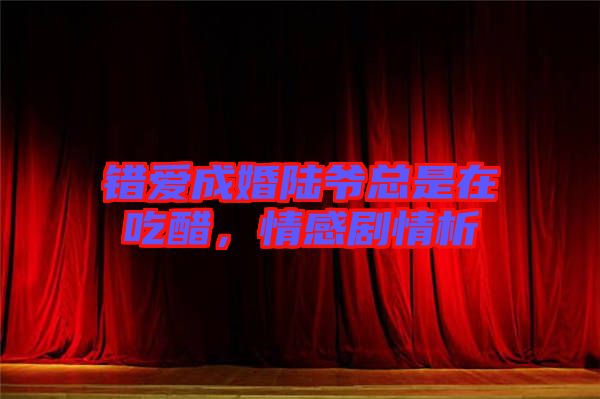 錯(cuò)愛(ài)成婚陸爺總是在吃醋，情感劇情析