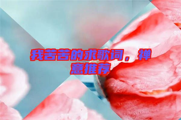 我苦苦的求歌詞，禪意推薦
