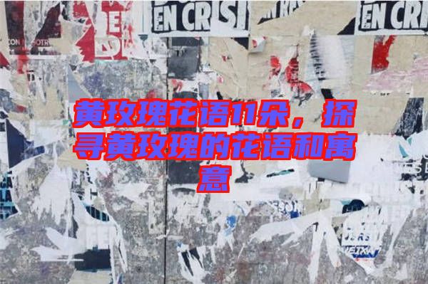 黃玫瑰花語11朵，探尋黃玫瑰的花語和寓意