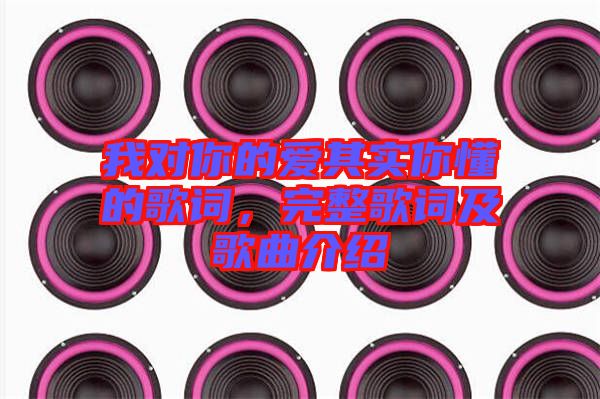 我對(duì)你的愛其實(shí)你懂的歌詞，完整歌詞及歌曲介紹