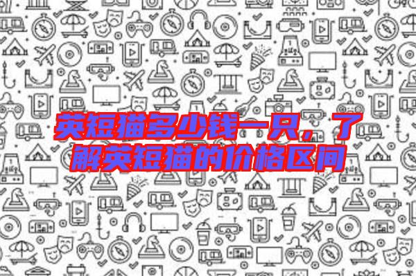 英短貓多少錢一只，了解英短貓的價格區(qū)間