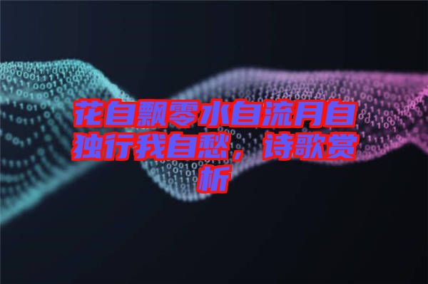 花自飄零水自流月自獨行我自愁，詩歌賞析