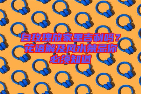 白玫瑰放家里吉利嗎？花語解及風(fēng)水禁忌你必須知道