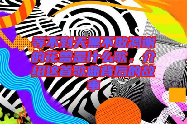 等不到天黑不敢凋謝的花蕾是什么歌，介紹這首歌曲背后的故事