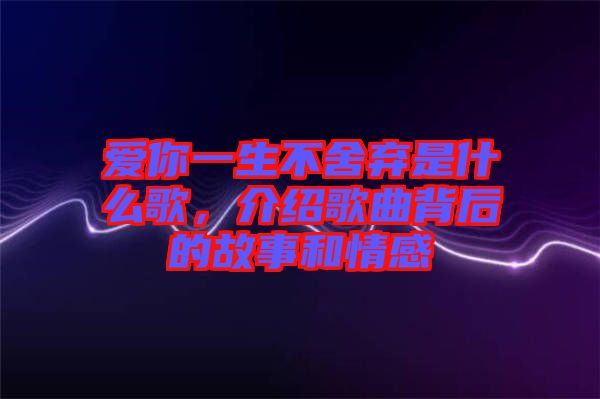 愛你一生不舍棄是什么歌，介紹歌曲背后的故事和情感