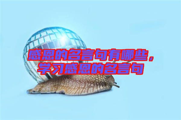 感恩的名言句有哪些，學(xué)習(xí)感恩的名言句