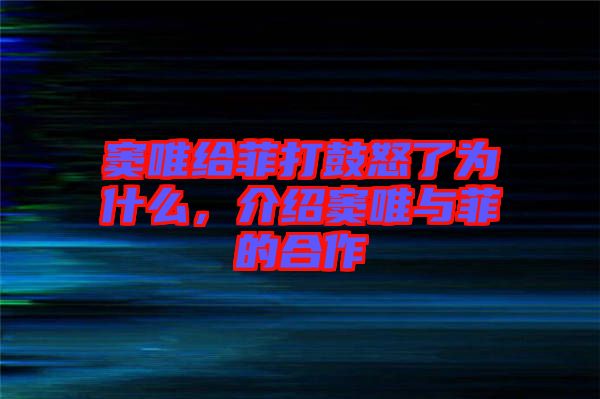 竇唯給菲打鼓怒了為什么，介紹竇唯與菲的合作