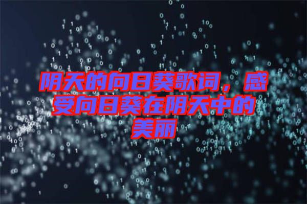 陰天的向日葵歌詞，感受向日葵在陰天中的美麗