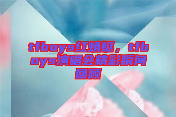 tfboys紅蜻蜓，tfboys演唱會(huì)精彩瞬間回顧