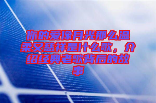 你的愛像月光那么溫柔又慈祥是什么歌，介紹經(jīng)典老歌背后的故事