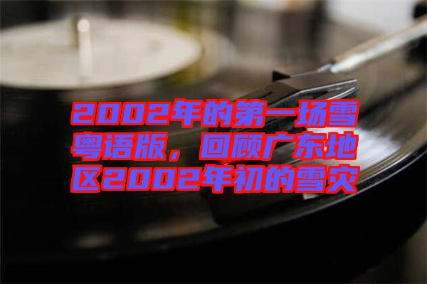 2002年的第一場雪粵語版，回顧廣東地區(qū)2002年初的雪災