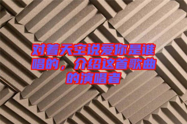 對(duì)著天空說(shuō)愛(ài)你是誰(shuí)唱的，介紹這首歌曲的演唱者