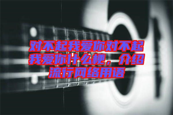 對(duì)不起我愛(ài)你對(duì)不起我愛(ài)你什么梗，介紹流行網(wǎng)絡(luò)用語(yǔ)
