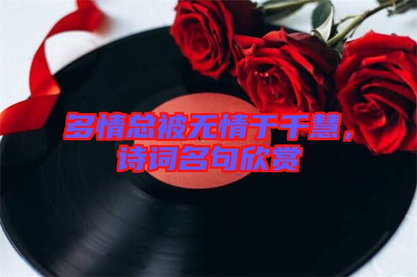 多情總被無情于千慧，詩詞名句欣賞