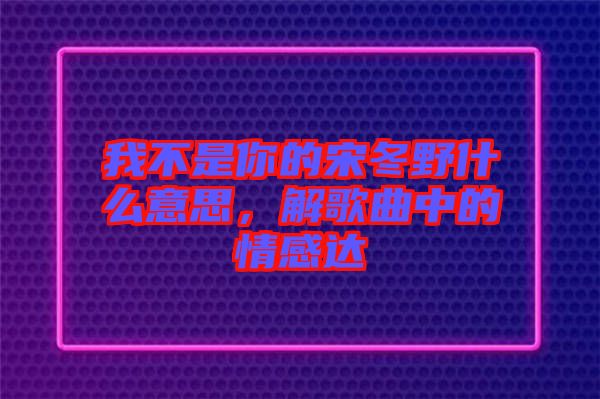 我不是你的宋冬野什么意思，解歌曲中的情感達(dá)