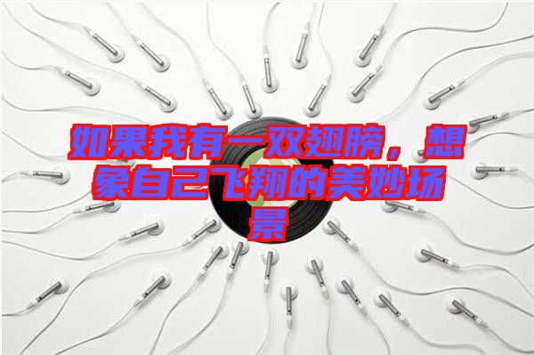 如果我有一雙翅膀，想象自己飛翔的美妙場景