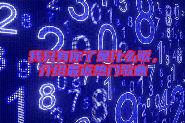 我只有你了是什么歌，介紹最近熱門歌曲
