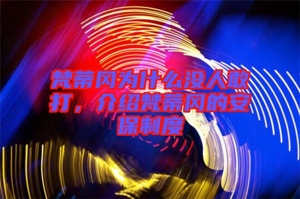 梵蒂岡為什么沒(méi)人敢打，介紹梵蒂岡的安保制度