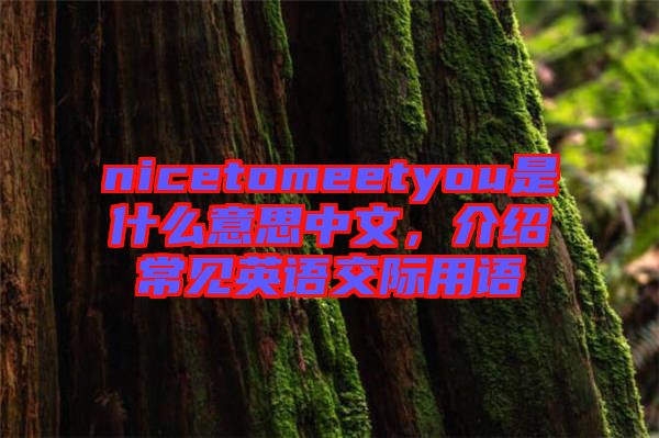 nicetomeetyou是什么意思中文，介紹常見(jiàn)英語(yǔ)交際用語(yǔ)