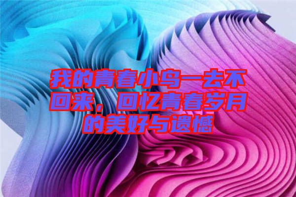 我的青春小鳥一去不回來(lái)，回憶青春歲月的美好與遺憾