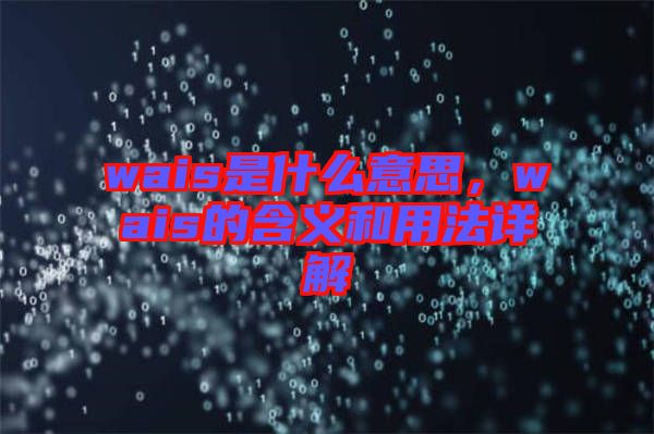 wais是什么意思，wais的含義和用法詳解