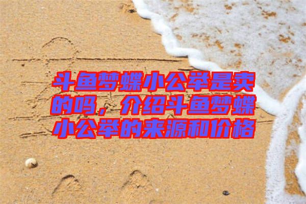 斗魚(yú)夢(mèng)蝶小公舉是賣(mài)的嗎，介紹斗魚(yú)夢(mèng)蝶小公舉的來(lái)源和價(jià)格
