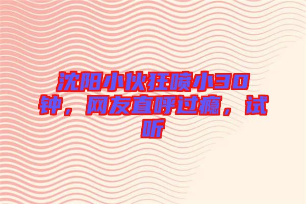 沈陽小伙狂噴小30鐘，網(wǎng)友直呼過癮，試聽