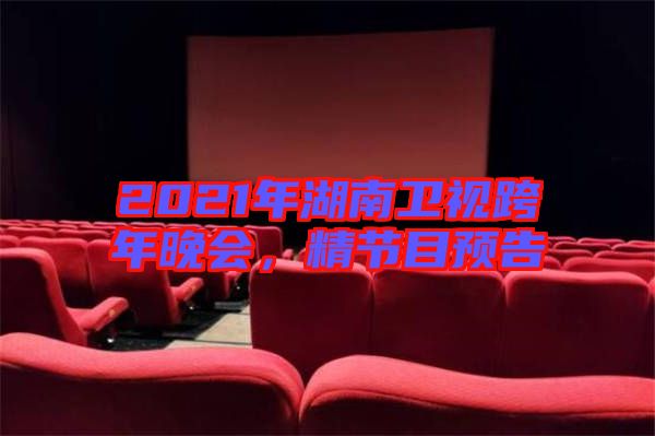 2021年湖南衛(wèi)視跨年晚會，精節(jié)目預(yù)告