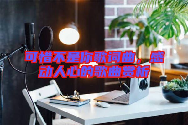 可惜不是你歌詞曲，感動人心的歌曲賞析