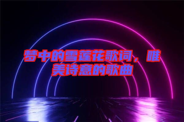 夢(mèng)中的雪蓮花歌詞，唯美詩(shī)意的歌曲