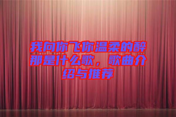 我向你飛你溫柔的醉那是什么歌，歌曲介紹與推薦