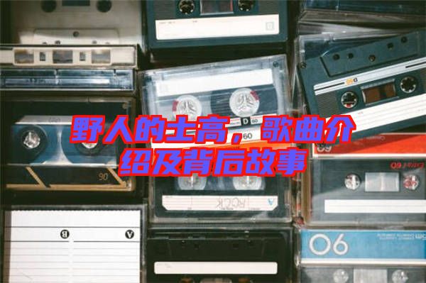 野人的士高，歌曲介紹及背后故事