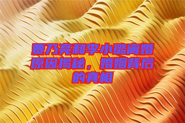 賈乃亮和李小璐離婚原因揭秘，婚姻背后的真相
