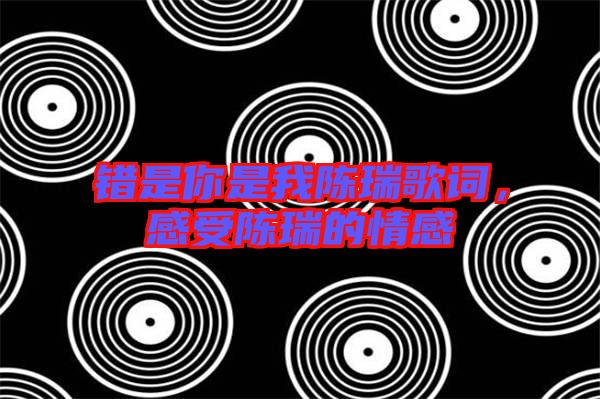 錯是你是我陳瑞歌詞，感受陳瑞的情感
