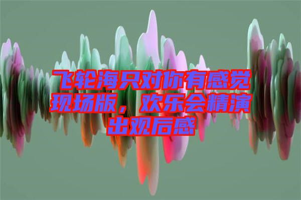 飛輪海只對你有感覺現(xiàn)場版，歡樂會精演出觀后感