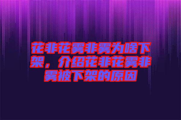 花非花霧非霧為啥下架，介紹花非花霧非霧被下架的原因