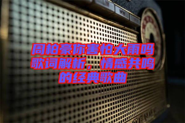 周柏豪你害怕大雨嗎歌詞解析，情感共鳴的經典歌曲