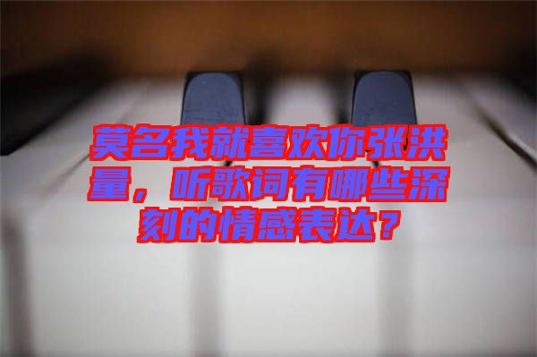 莫名我就喜歡你張洪量，聽(tīng)歌詞有哪些深刻的情感表達(dá)？