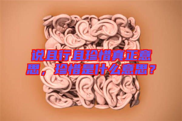 說且行且珍惜真正意思，珍惜是什么意思？