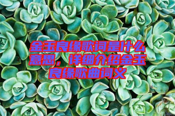 金玉良緣歌詞是什么意思，詳細(xì)介紹金玉良緣歌曲詞義