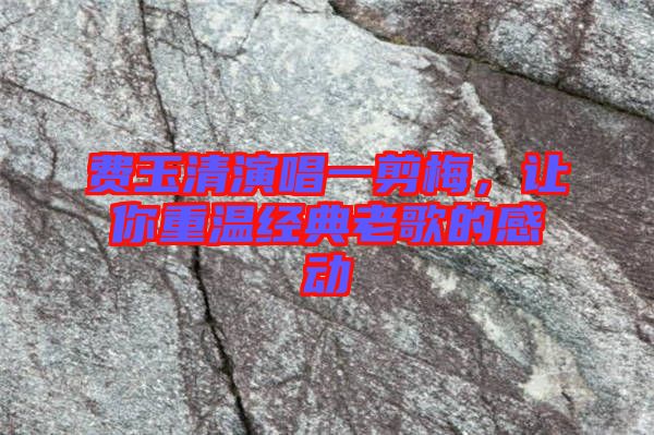 費(fèi)玉清演唱一剪梅，讓你重溫經(jīng)典老歌的感動