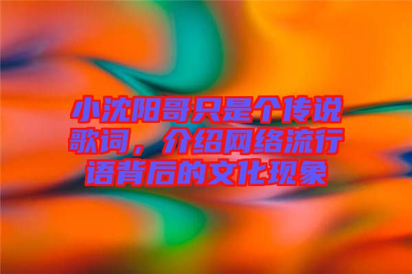 小沈陽(yáng)哥只是個(gè)傳說(shuō)歌詞，介紹網(wǎng)絡(luò)流行語(yǔ)背后的文化現(xiàn)象
