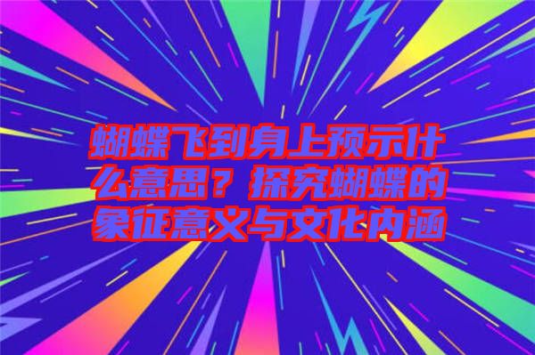 蝴蝶飛到身上預示什么意思？探究蝴蝶的象征意義與文化內涵