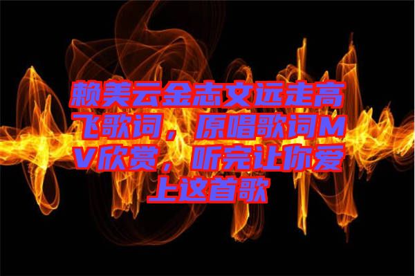 賴美云金志文遠走高飛歌詞，原唱歌詞MV欣賞，聽完讓你愛上這首歌