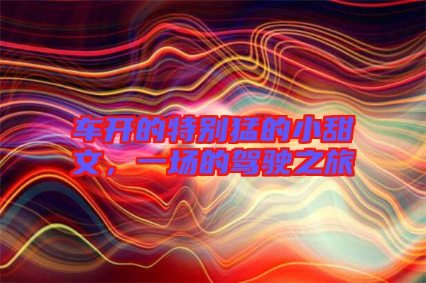 車開的特別猛的小甜文，一場的駕駛之旅
