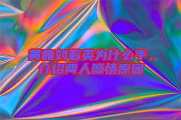 黃磊劉若英為什么手，介紹兩人感情原因